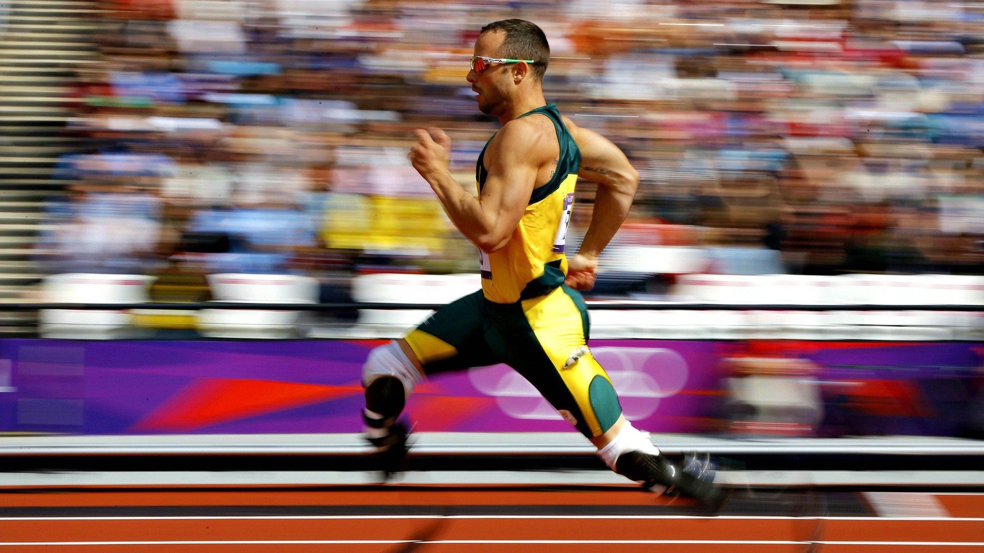 “走向“零误判”——多技术融合驱动裁判系统智能升级的行业前沿”