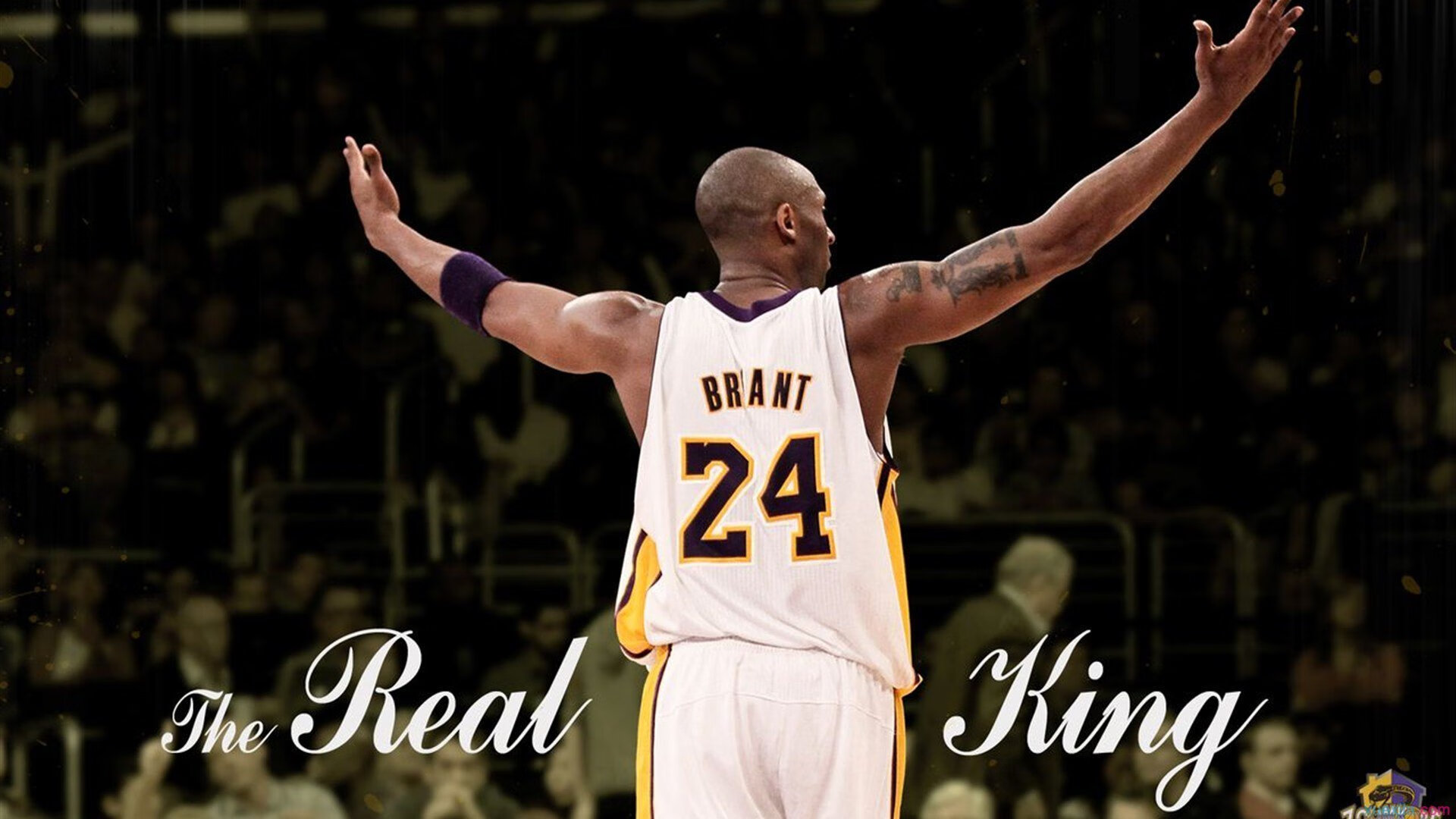 传奇再续！老将用精彩表现续写历史篇章，传奇仍在续写